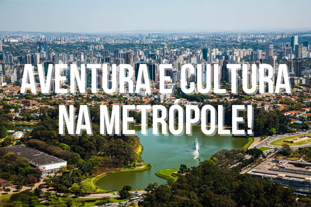 Descubra os 3 Melhores Destinos Familiares em São Paulo: Aventura e Cultura na Metrópole!